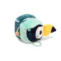 PABLO TOUCAN DECOUVERTES