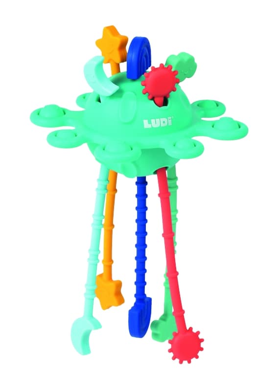 Zippy Activite, ludi 25/01 — vue 2 sur 5