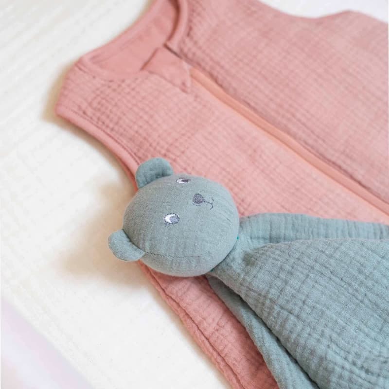 Doudou Lange Ours, honey trois kilos sept 25/08 — vue 5 sur 6