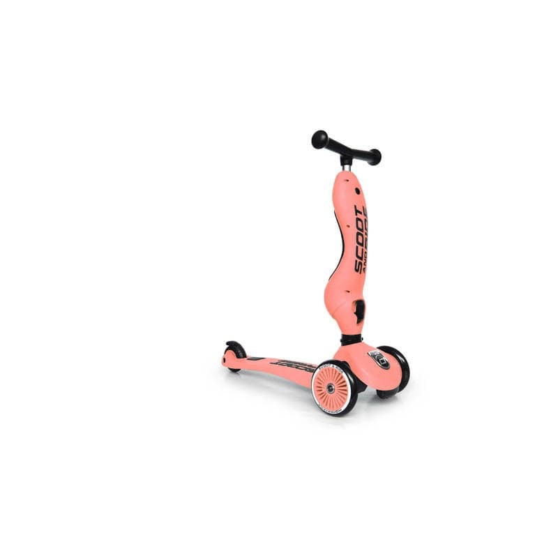 Sr-trottinette 2-1 Highwaykick 1 - Peche, scoot & ride — vue 1 sur 2