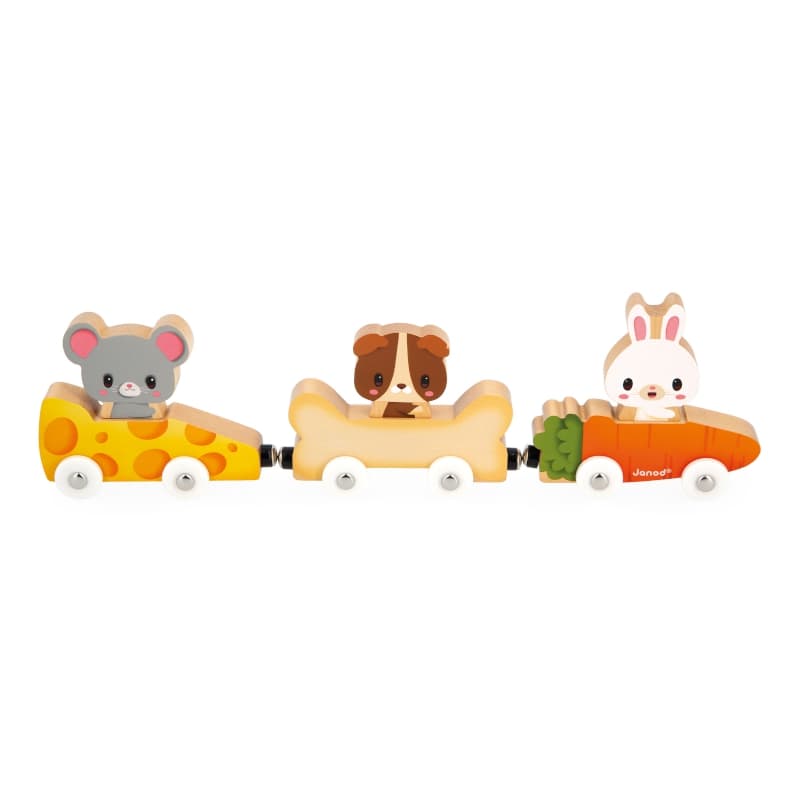 Ferme - Animaux Familiers Magnetiques, jouets d'eveil janod multicolore 24 x 5 x 14 collection 2024 — vue 1 sur 5