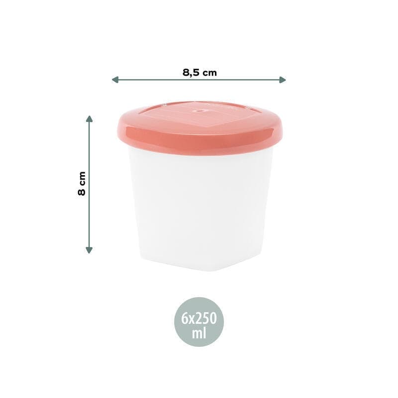 Babybols Biosources 6 X 250ml, repas babymoov — vue 1 sur 4