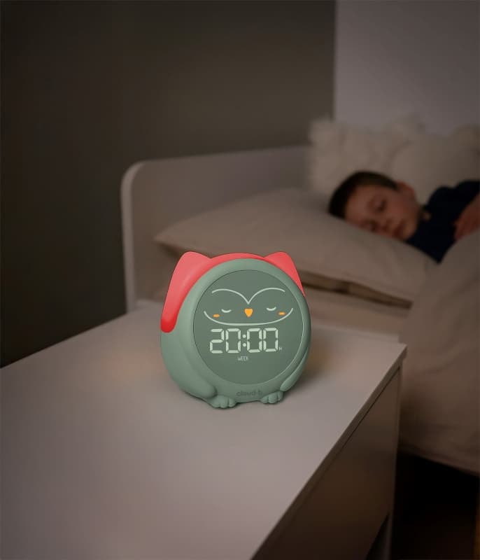 Owlie le Reveil Magique, cloud b 25/12 — vue 4 sur 7