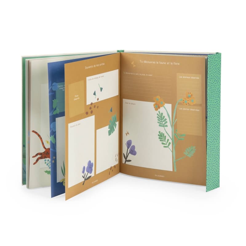 Livre de Naissance, creme vert jaune la foret mawa moulin roty 26/01 — vue 3 sur 6