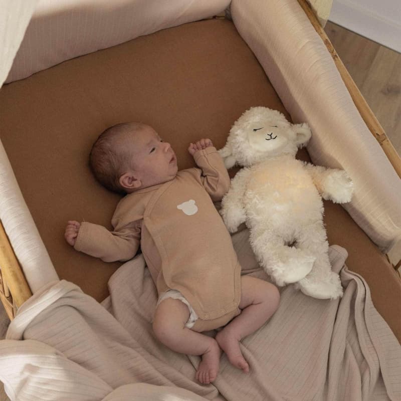 Bodies Ourson X2, beige terre de sienne 3m trois kilos sept 25/08 — vue 6 sur 6
