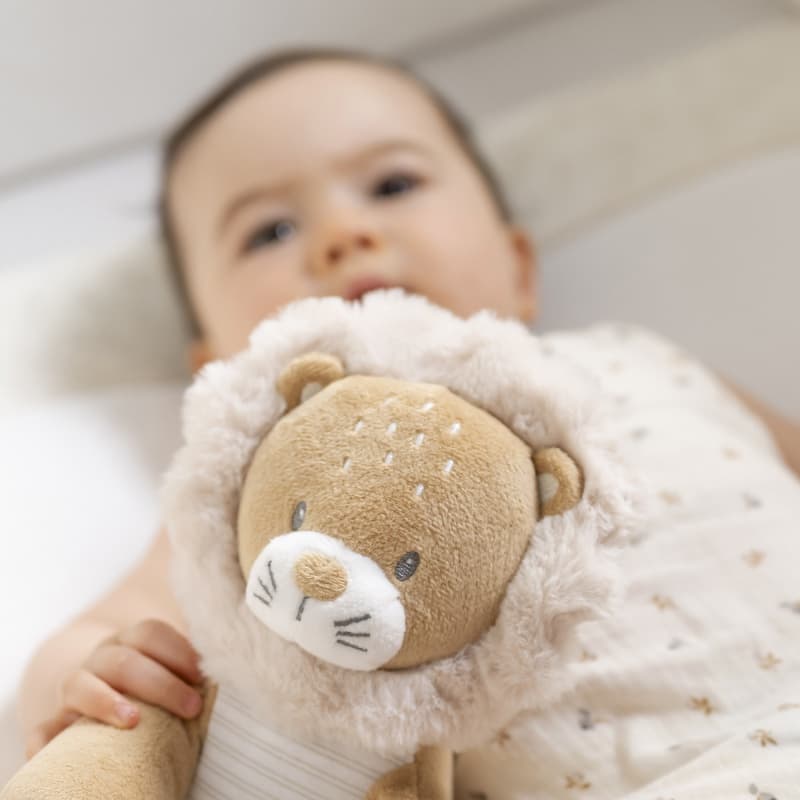 Peluche Lion Ernest, ernest, flo & oli nattou 25/03 — vue 1 sur 3