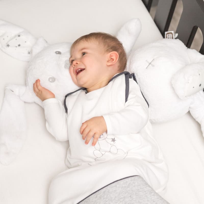 Grande Peluche Martin Lapin- Martin et Ses Copains, trois kilos sept — vue 3 sur 4