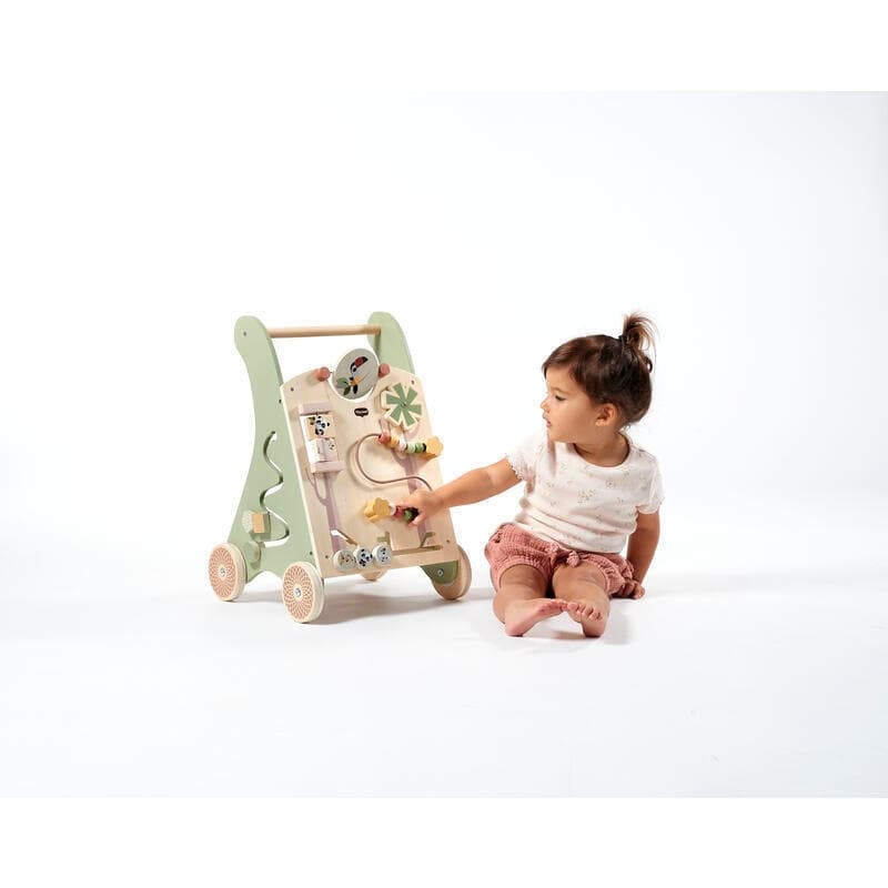 Chariot de Marche en Bois — vue 5 sur 5