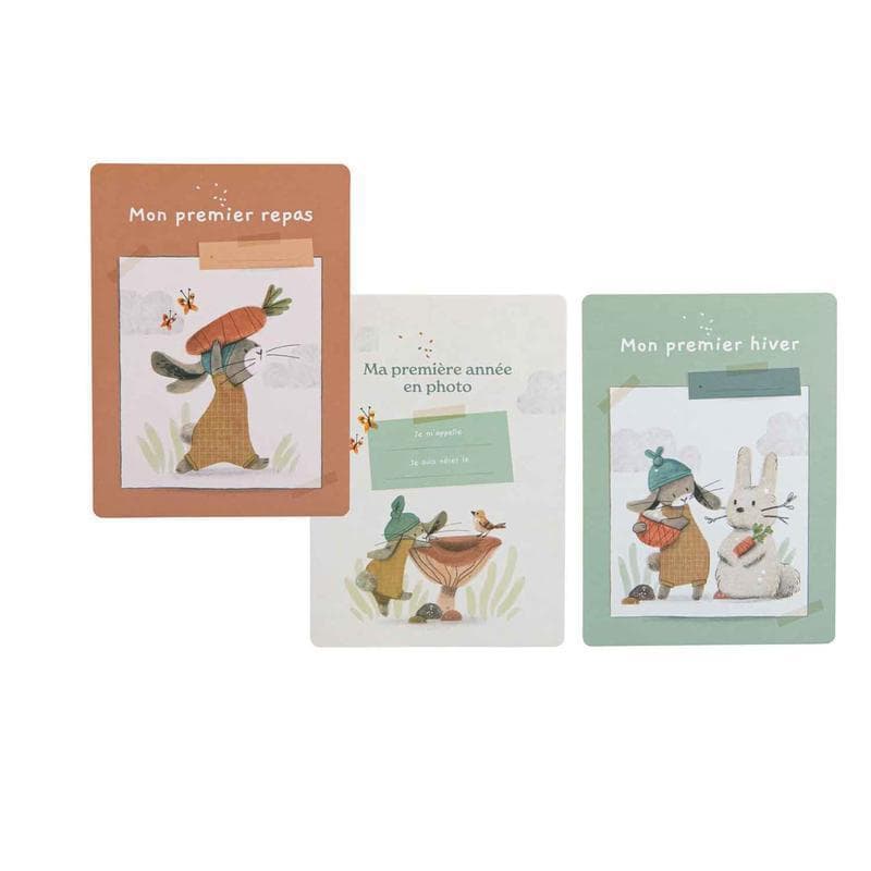 Cartes Mes 12 Premiers Mois (30 Cartes), trois petits lapins 0x12,5x17xcm p-e-a-h — vue 1 sur 5
