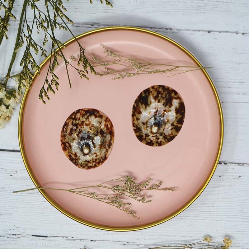 Lot de 2 Coquillages d'Allaitement - Taille M - Diametre 6 Cm — vue 2 sur 5