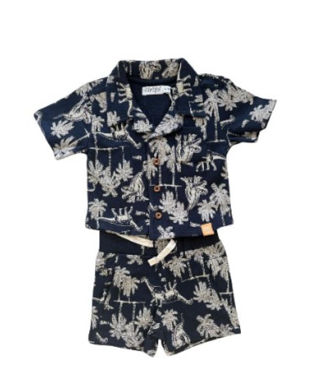 Ens Polo +short Bleu Dino 12m