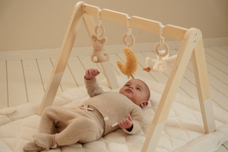 Arche d'Eveil en Bois, newborn natural little dutch 25/04 — vue 1 sur 6