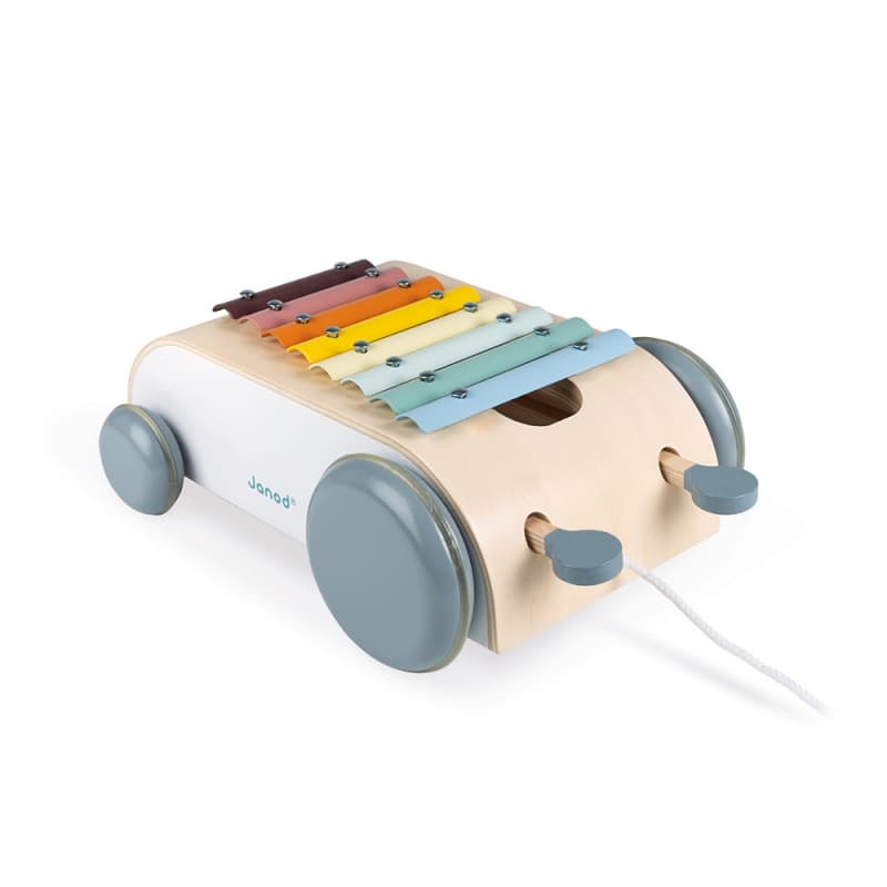 Xylo Roller Sweet Cocoon, jouets d'eveil janod multicolore — vue 1 sur 4