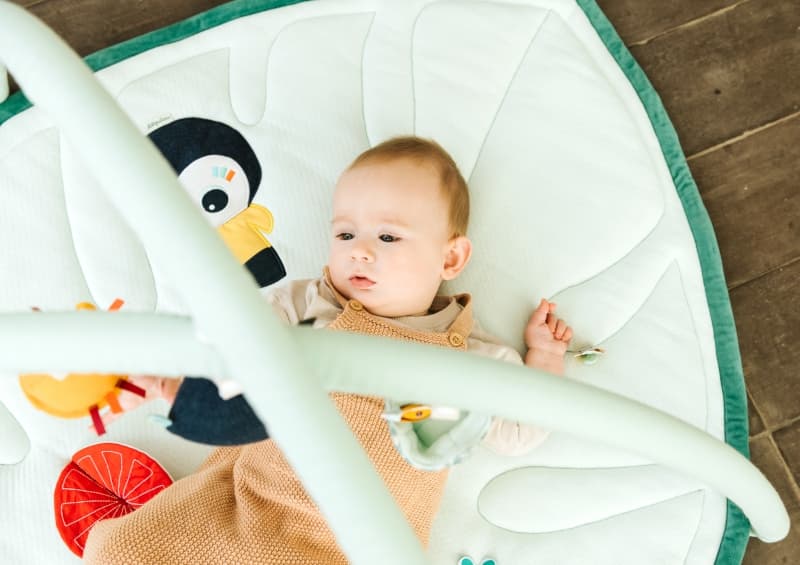 Jungle Tapis d'Eveil avec Arches, jungle lilliputiens 2022 — vue 2 sur 3