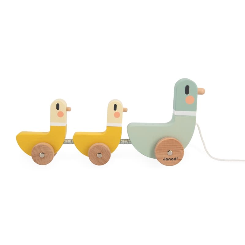 Swc - Canards a Tirer, jouets d'eveil janod vert/jaune 33,5 x 5 x 15,5 collection 2024 — vue 4 sur 5