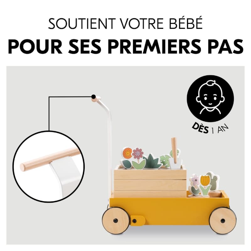 Learn To Walk Plants, jouets hauck plants a-23 — vue 3 sur 5