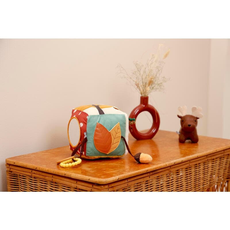 Cube d'Eveil - Foret, forêt little big friends multicolore — vue 2 sur 4