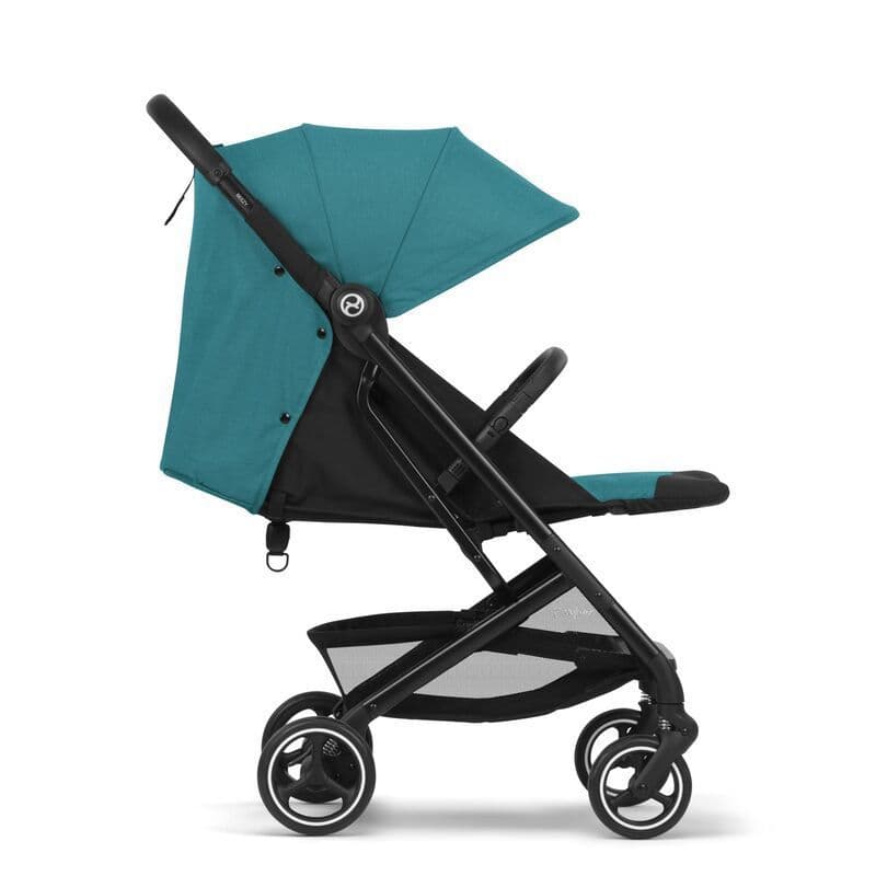 Beezy River Blue, gold 2021 — vue 4 sur 5
