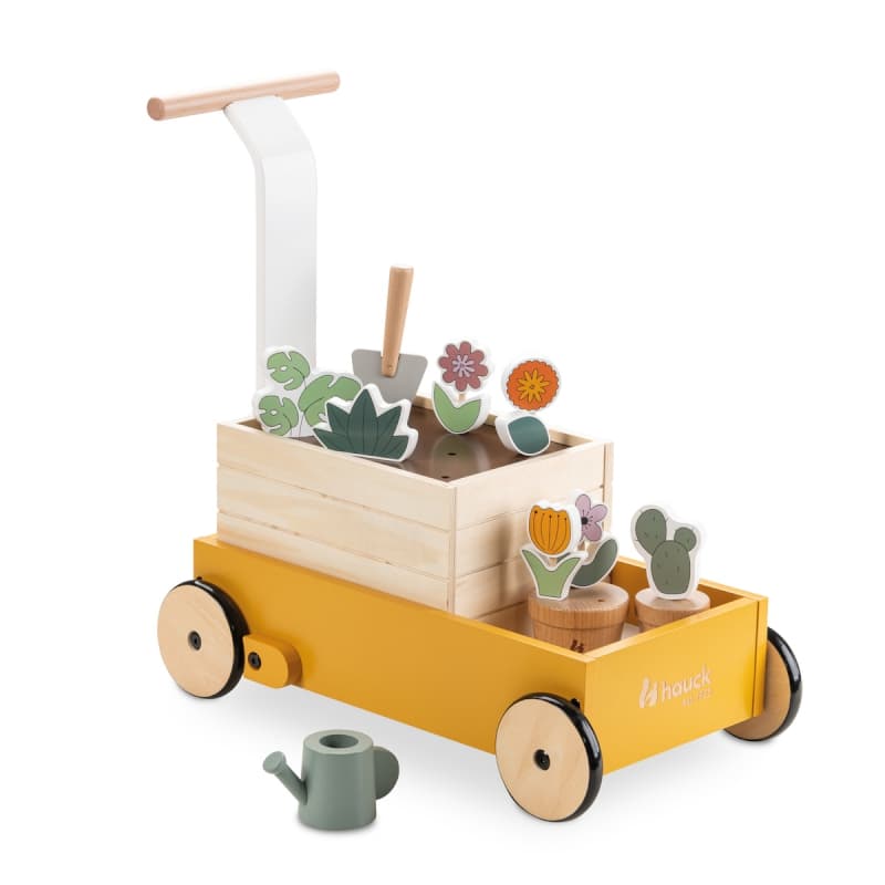 Learn To Walk Plants, jouets hauck plants a-23 — vue 1 sur 5