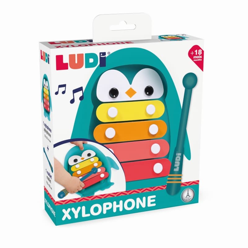 Xylophone, ludi 25/01 — vue 5 sur 5