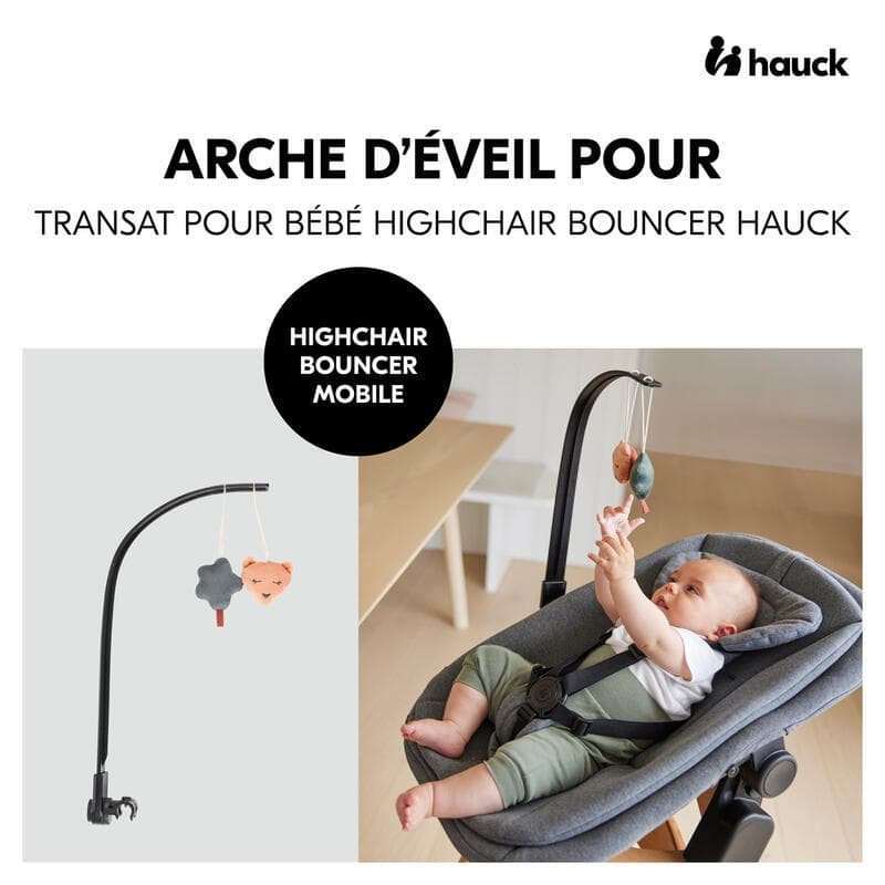 Arche d'Eveil pour Transat, hauck 24/09 — vue 1 sur 4