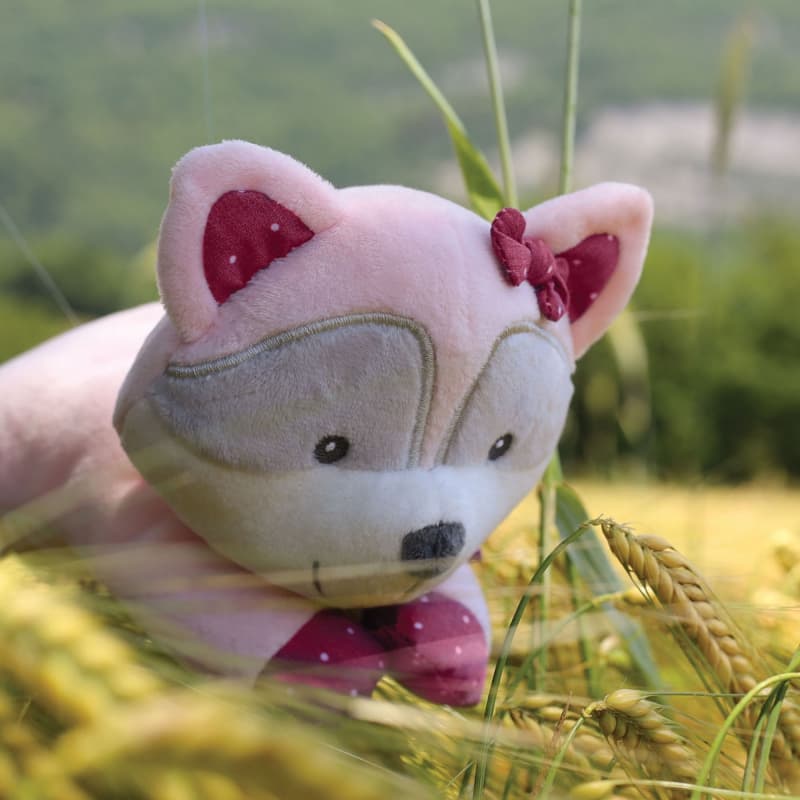 Peluche Raton Laveur, trois kilos sept