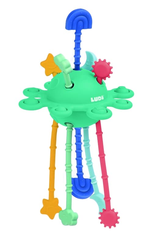 Zippy Activite, ludi 25/01 — vue 1 sur 5