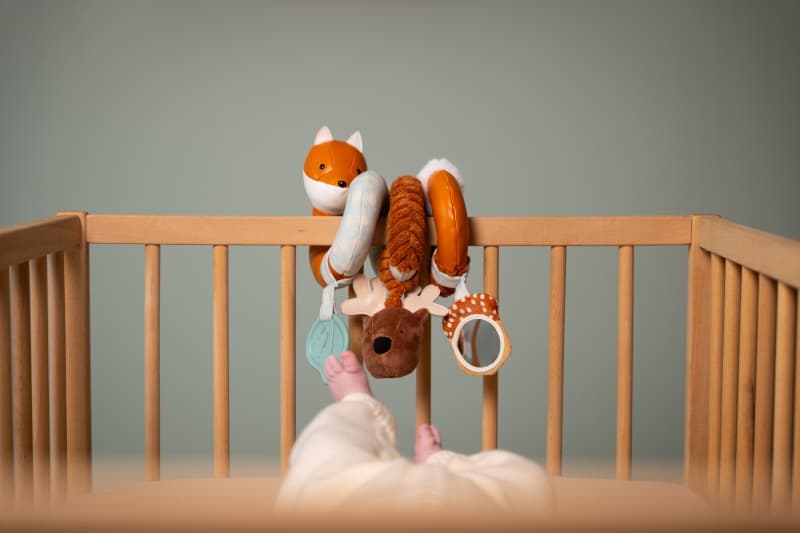 Spirale Activites Foret, multicolore little big friends — vue 3 sur 5