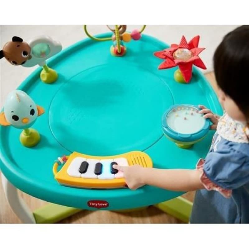 Centre Activites 5 en 1, tiny love — vue 2 sur 4