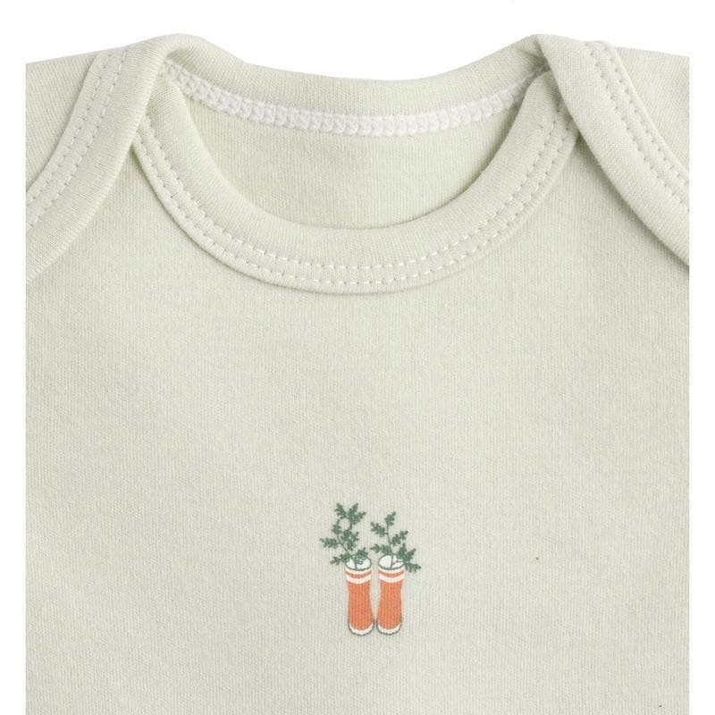 Lot de 3 Bodies 6 Mois Manches Courtes Botanica, botanica deco — vue 3 sur 4