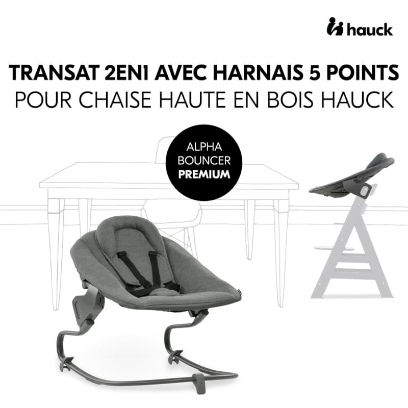 Alpha Bouncer Premium, dark grey 49x10.5x69 cm 2023 — vue 2 sur 5