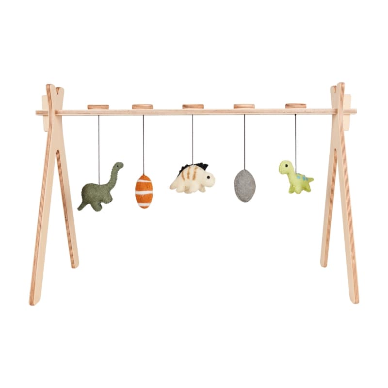 Set Jouets d'Activite 5 Pieces, dino quax