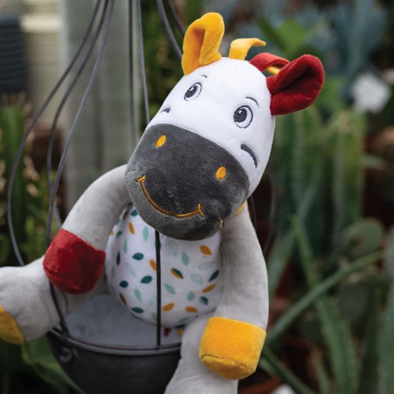Peluche Musicale Zebre, kolala et sa tribu multicolore dès la naissance — vue 1 sur 3