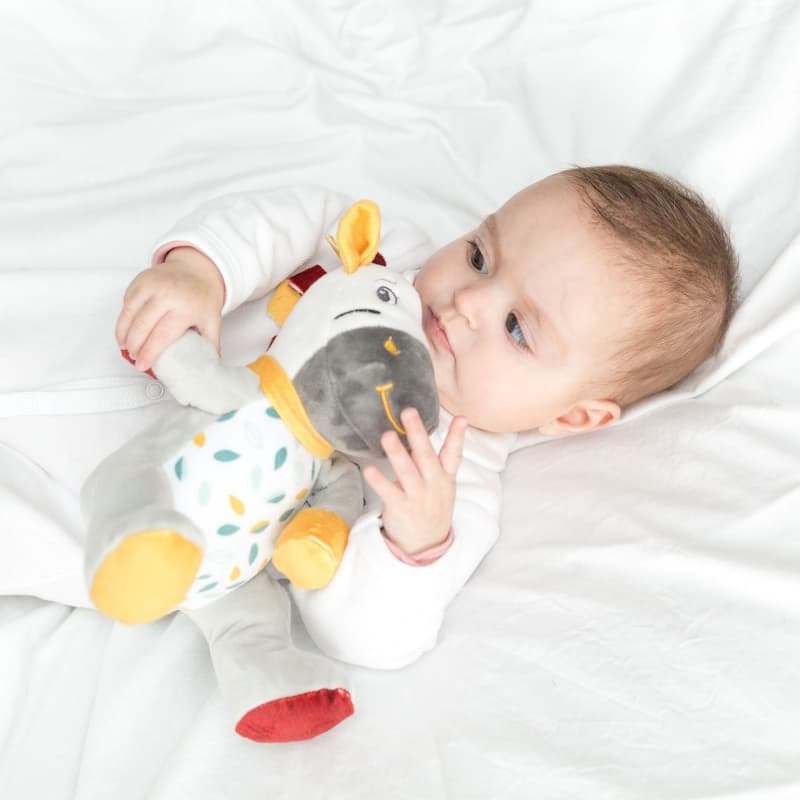 Peluche Musicale Zebre, kolala et sa tribu multicolore dès la naissance — vue 2 sur 3