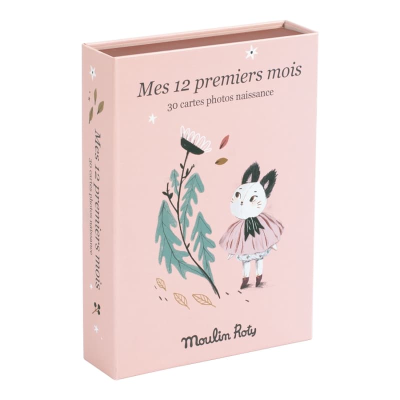Cartes Mes 12 Premiers Mois Apres la Pluie (30 Cartes), après la pluie 2021 — vue 1 sur 3