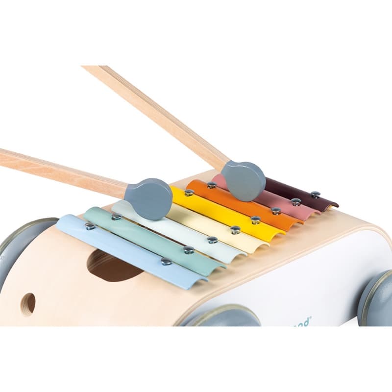 Xylo Roller Sweet Cocoon, jouets d'eveil janod multicolore — vue 3 sur 4