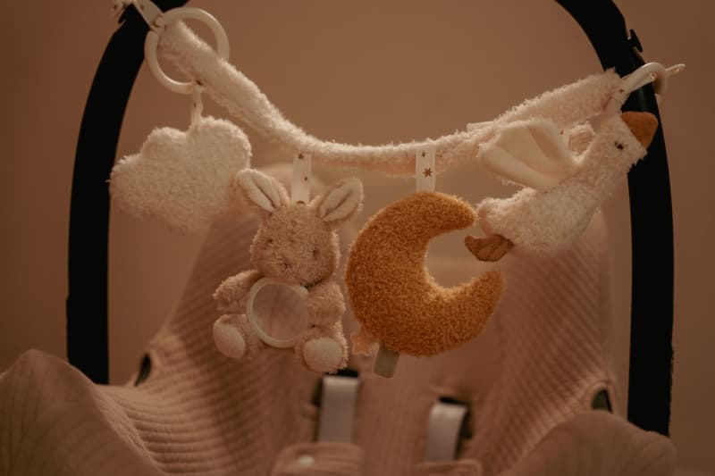 Chaine d'Activites pour Poussette, newborn natural little dutch 25/04 — vue 1 sur 6