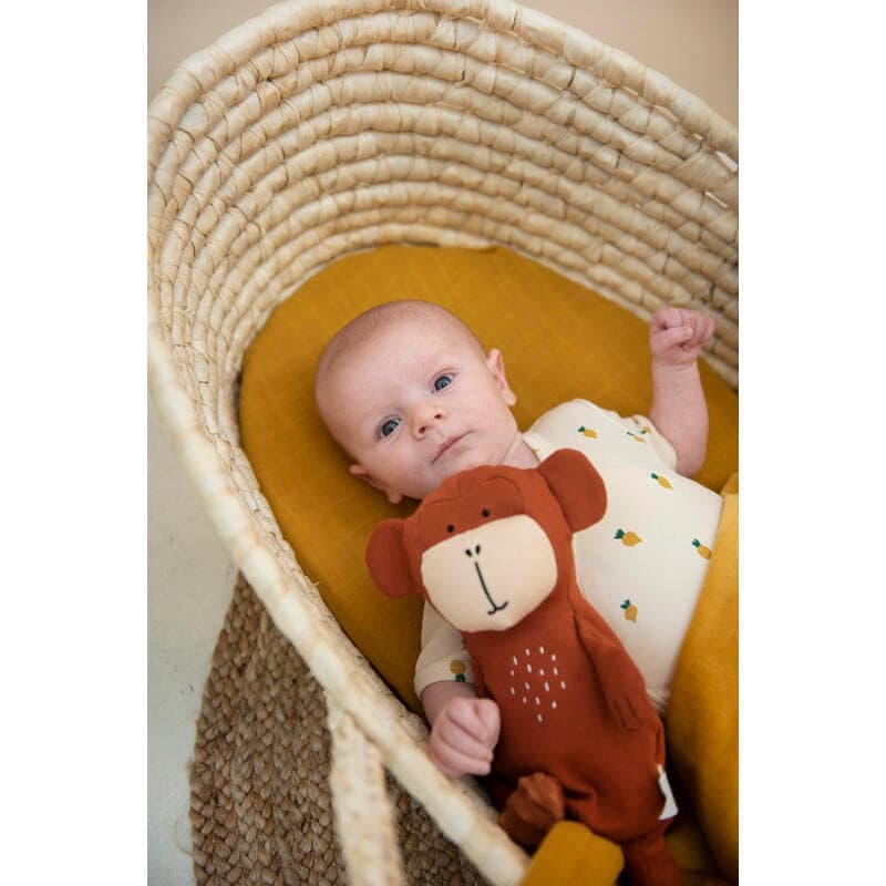 Petite Peluche - Mr. Monkey — vue 1 sur 5
