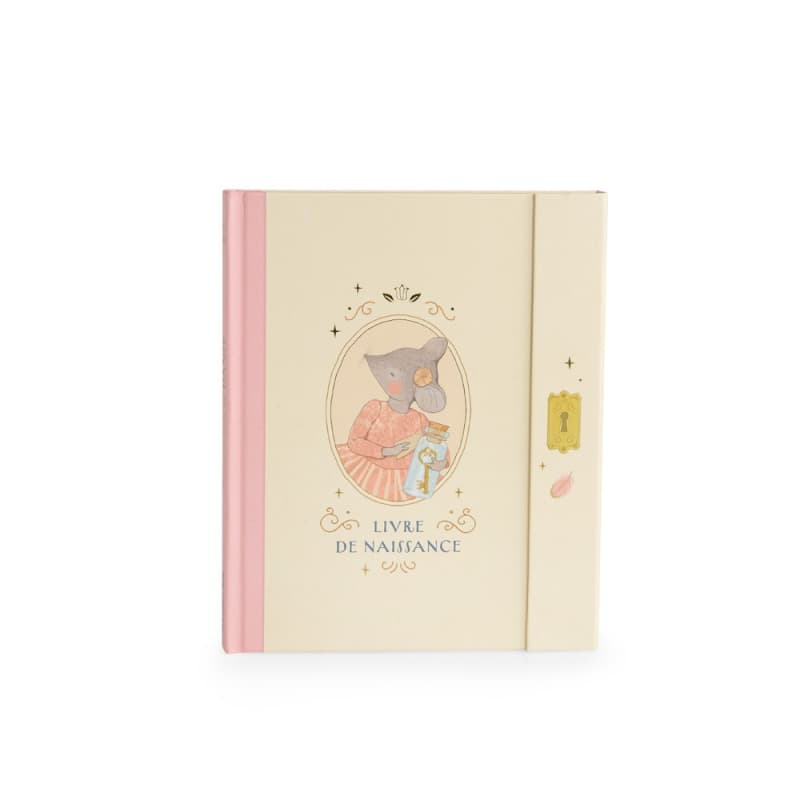 Livre de Naissance, la petite ecole de danse moulin roty — vue 5 sur 5