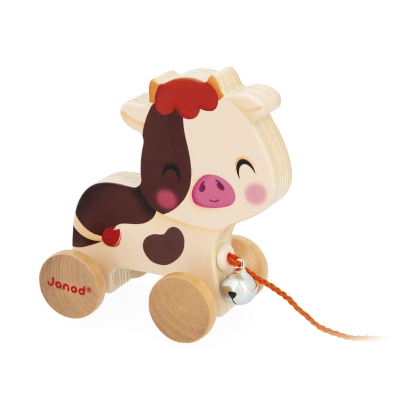 Vache a Promener, ferme janod 25/01