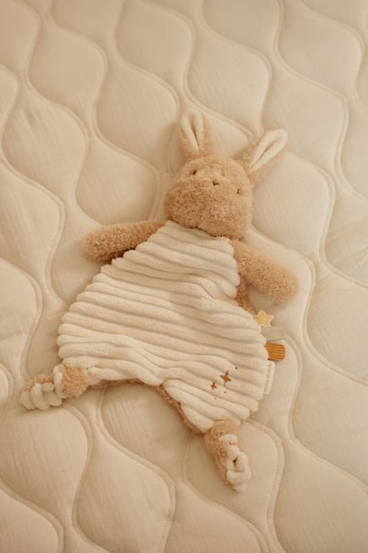 Doudou Lapin, newborn natural little dutch 25/04 — vue 1 sur 7