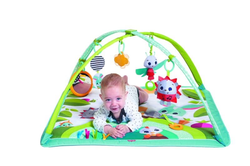 Tapis avec Arches Sunny Day Dans la Prairie, tiny love 0 semaine 40/ 30 septembre — vue 1 sur 3