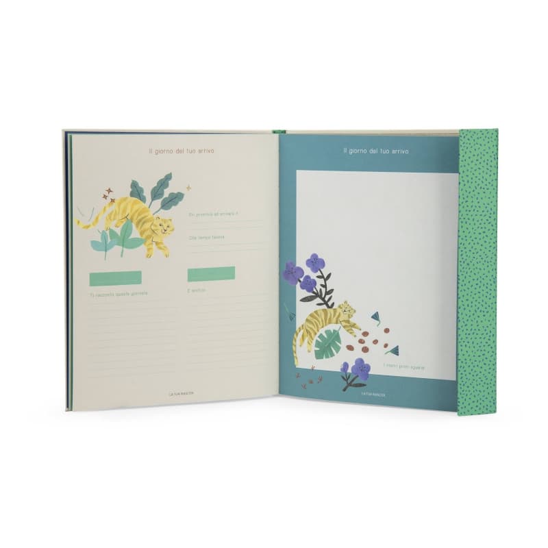 Livre de Naissance, creme vert jaune la foret mawa moulin roty 26/01 — vue 4 sur 6
