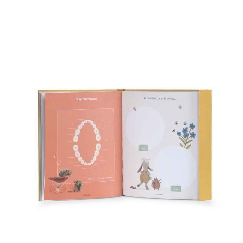 Livre de Naissance (80 Pages), trois petits lapins ocre 0x19,5x24xcm p-e-a-h — vue 2 sur 4
