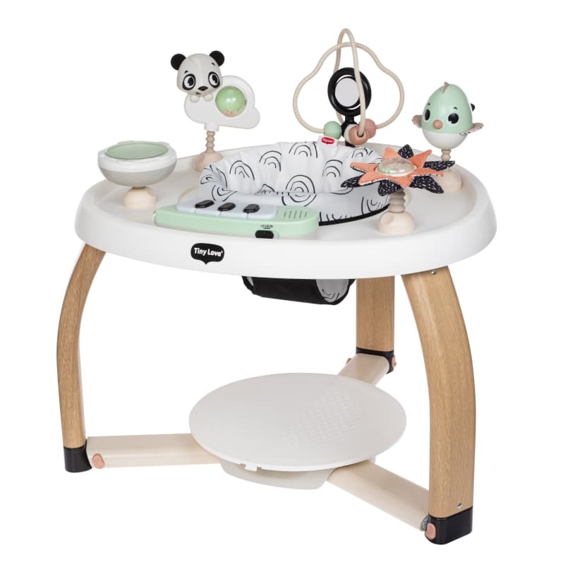 Centre d'Activites Stationnaire 5 en 1, tiny love — vue 1 sur 3