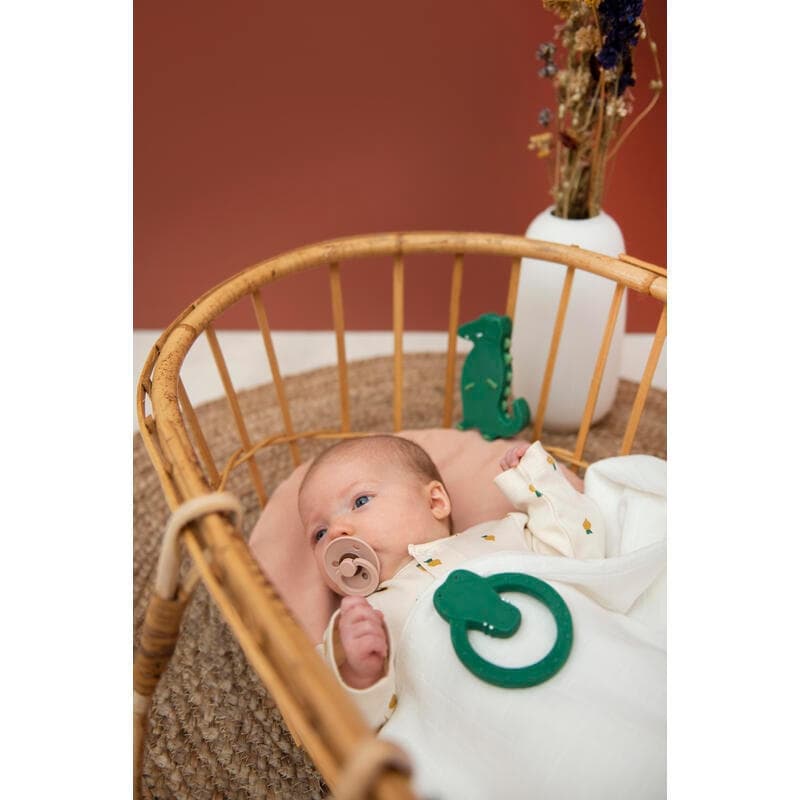 Natural Rubber Round Teether - Mr. Crocodile, trixie vert — vue 4 sur 5