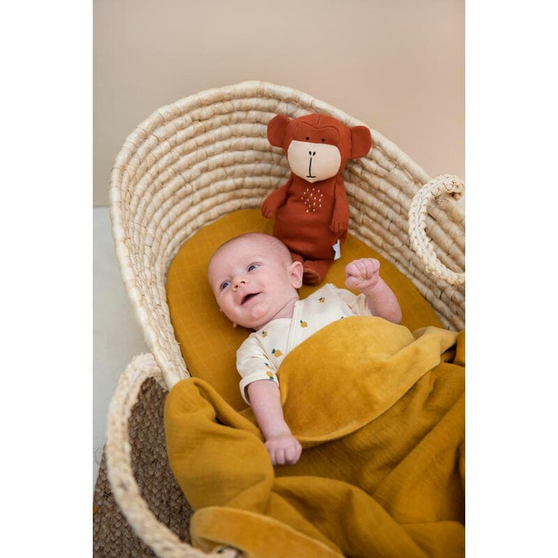 Petite Peluche - Mr. Monkey — vue 2 sur 5