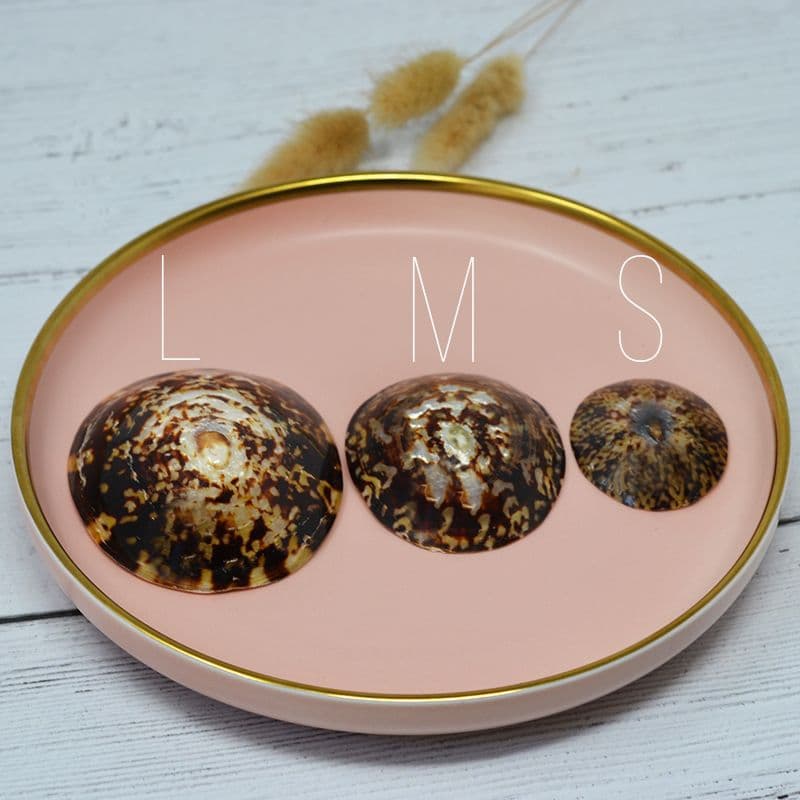 Lot de 2 Coquillages d'Allaitement - Taille M - Diametre 6 Cm — vue 5 sur 5