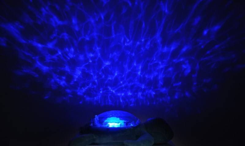 Peluche Veilleuse Tranquil Turtle Aqua, cloud b bleu 18,7 x 10 x 26,5 cloud b bleu 18,7 x 10 x 26,5 — vue 3 sur 4