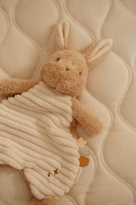 Doudou Lapin, newborn natural little dutch 25/04 — vue 2 sur 7